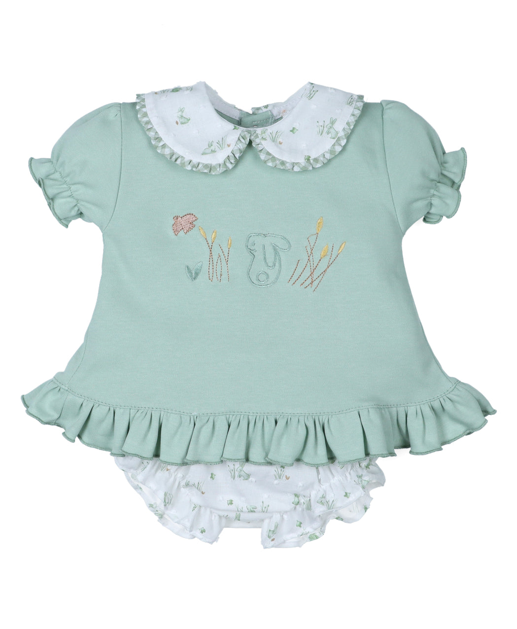 Conjunto RABIT