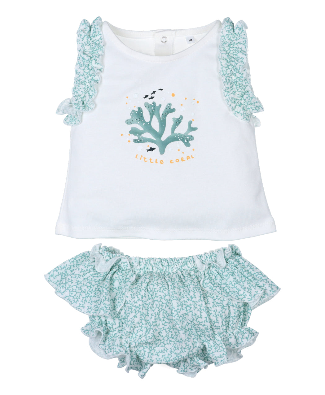 Conjunto Ramitas